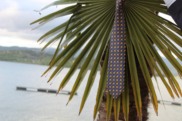 Cravatta con giglio di Firenze ⚜️⚜️🐎🐴 e staffe tie with lily of Florence ⚜️⚜️🐎🐴 and stirrups