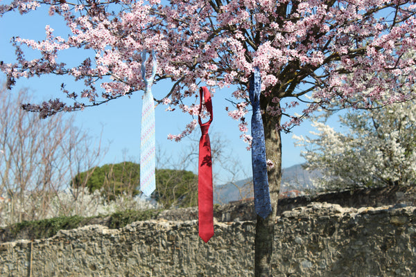 cravatte(ties) a 🌸💮🦚🦜🌸 quadretti rossi(red checks), pavone blu(blue peacock) , fiore multicolor(multicolor flower)
